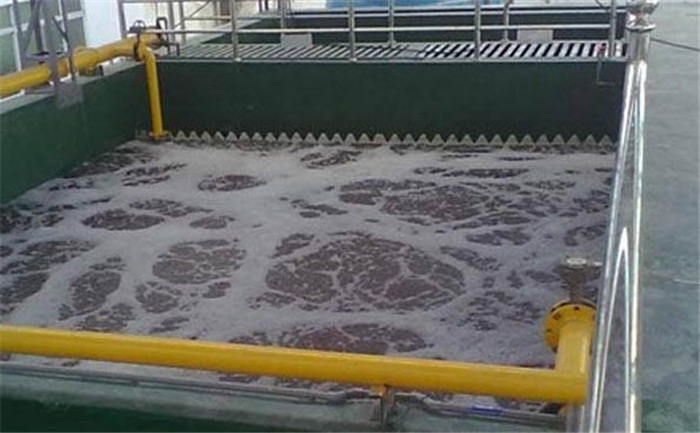 (圖:循環(huán)水起泡現(xiàn)場)