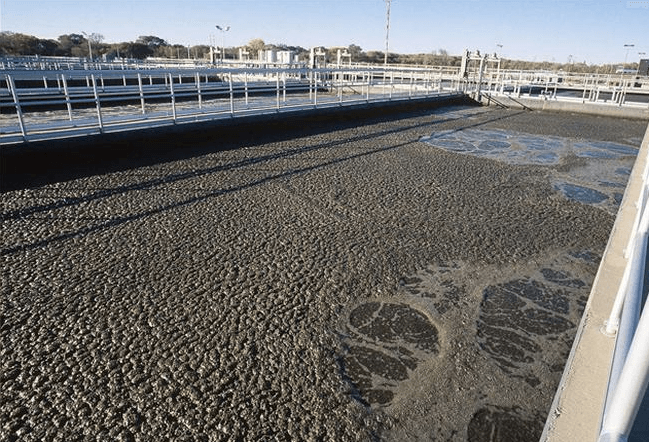 (圖:生化水處理泡沫場景)