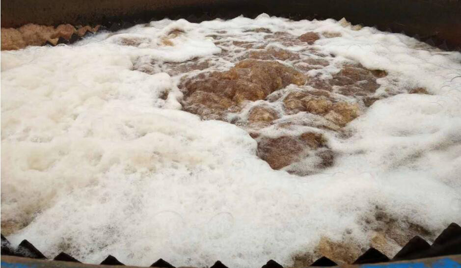 (圖:污水處理廠出水有白色泡沫)