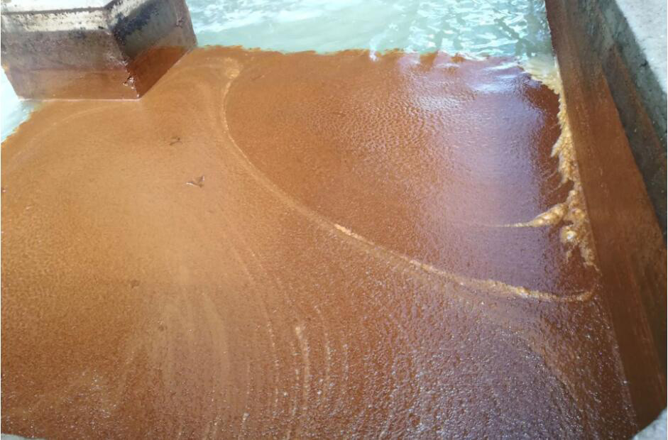 (圖:南輝水處理消泡劑應用)