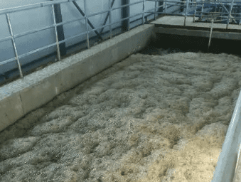 (制漿黑液有機硅消泡劑應用場景)